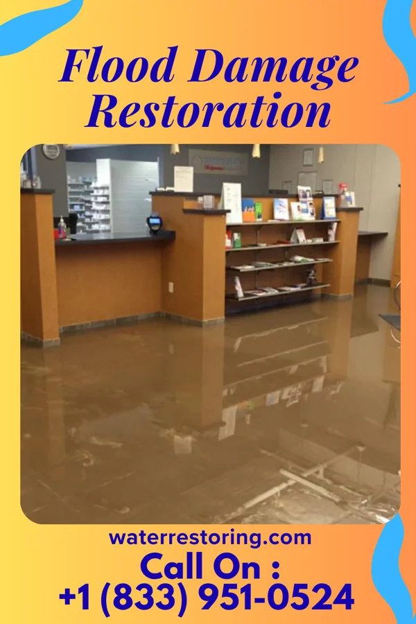 Flood Damage Restoration in Silver Lake, NC
