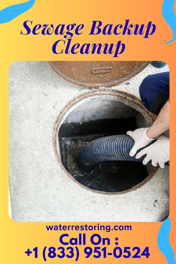 Sewage Backup Cleanup in Silver Lake, NC